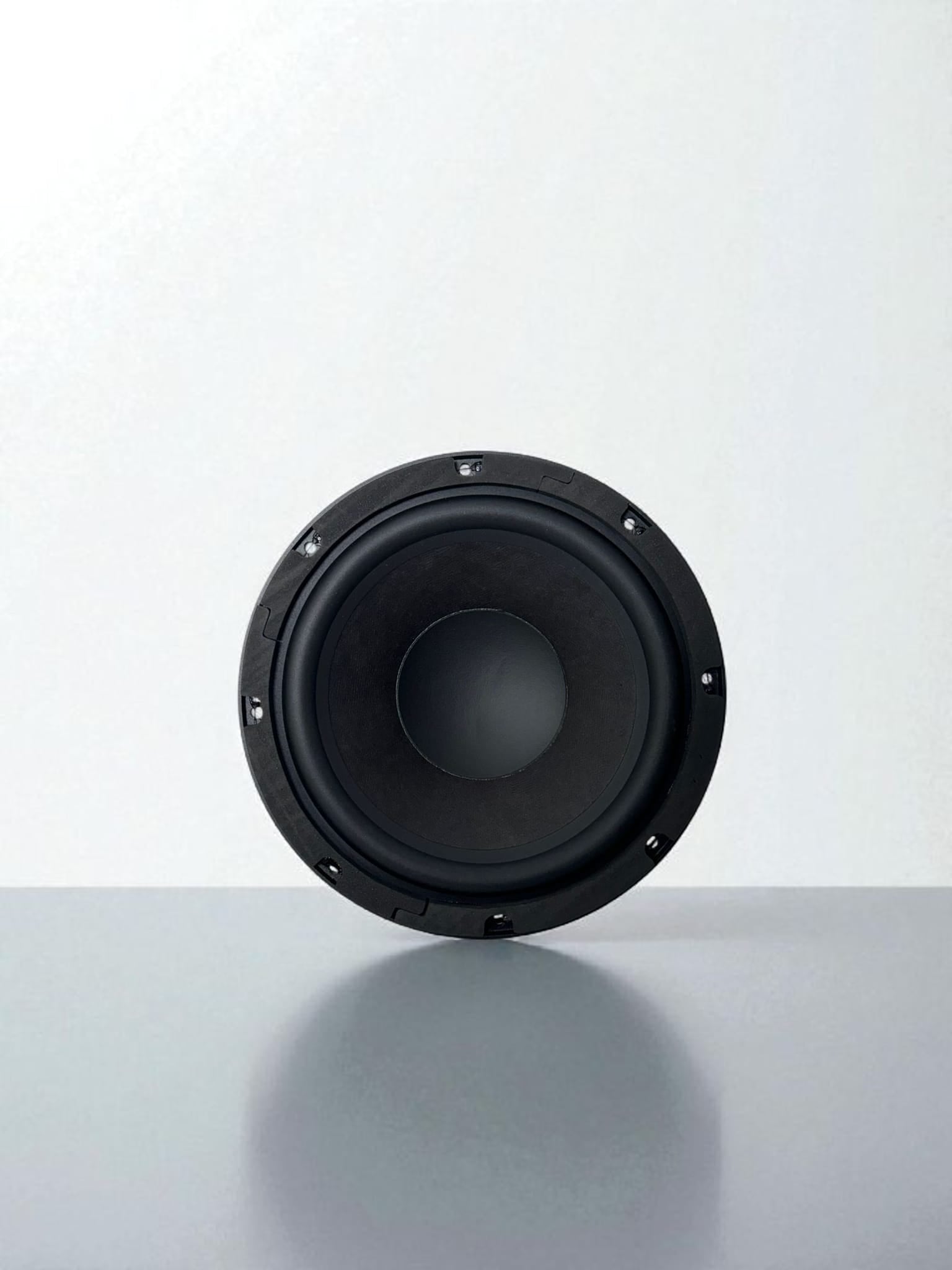 8P300Fe/N  8ohm